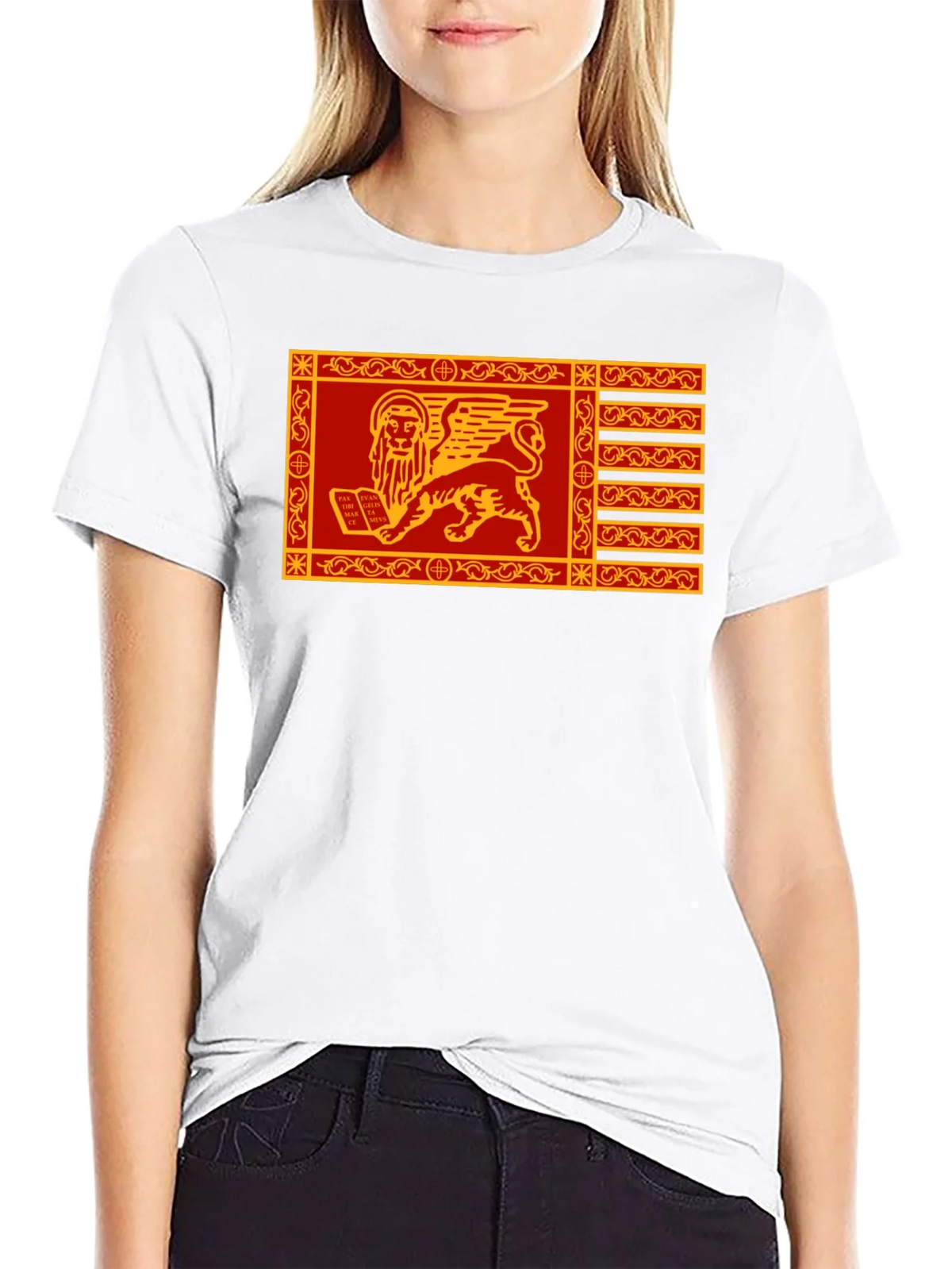 Venetian Flag Lion T-Shirt - Black Cotton Tee product image 8