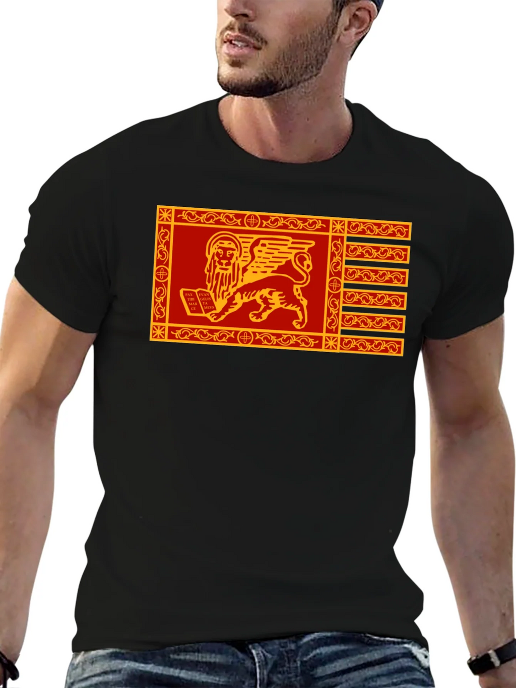 Venetian Flag Lion T-Shirt - Black Cotton Tee product image 6